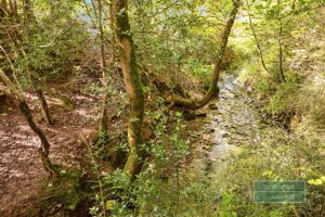 Photo 13- click for photo gallery